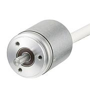 0520150 | RI30 Incremental RI30-O/400AR.34KN