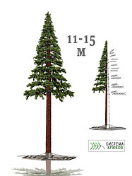 Новогоднее дерево "Сосна" 11 - 15 м