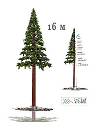 Новогоднее дерево "Сосна" 16 - 20 м