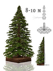 Большая уличная  ель "Альпийское дерево" 8 - 10 м