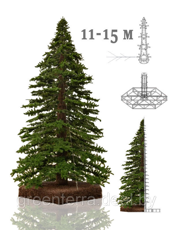 Большая уличная ель "Альпийское дерево" 11 - 15 м - фото 1 - id-p104539965
