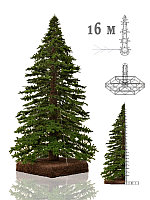 Большая уличная ель "Альпийское дерево" 16 - 20 м