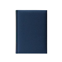 Ежедневник недатированный A6 бел.бум., V61, PLAZA, синий, фото 1