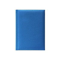 Ежедневник недатированный A6 бел.бум., V61, PLAZA, голубой, фото 1
