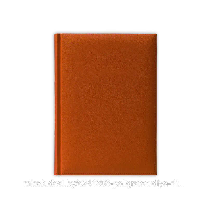 Ежедневник недатированный A6 бел.бум., V61, PLAZA, оранжевый