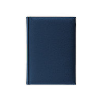 Ежедневник недатированный A6 бел.бум., V61, PLAZA, синий, фото 1