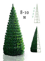Большая сосна каркасная "Уральская" 8 - 10 м