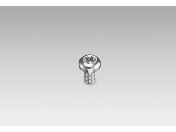 11177167 | Self-tapping grounding screw (Z 119.100) - фото 1 - id-p104596167