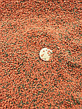 Корм для мелких цихлид Биодизайн Экстра Цихлид (расфасовка) 1 литр, фото 3