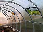 Теплица КАРКАС 4/6/8/10 м. "СИБИРСКАЯ ЭЛИТ ЛАЙТ ТИТАН" 40*20*0.50, фото 2