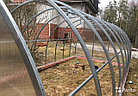 Теплица КАРКАС4/6/8/10 м. "СИБИРСКАЯ ЭЛИТ " 40*20*1 м, фото 4
