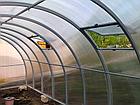 Теплица КАРКАС 4/6/8/10 м. "СИБИРСКАЯ ЭЛИТ ТИТАН " 40*20*0.50 м, фото 3
