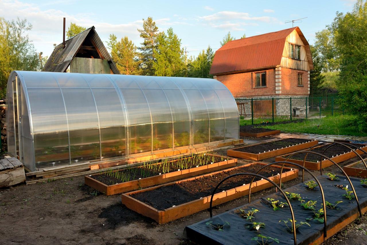 Теплица КАРКАС 4/6/8/10 м. "СИБИРСКАЯ ЭЛИТ ТИТАН " 40*20*0.50 м