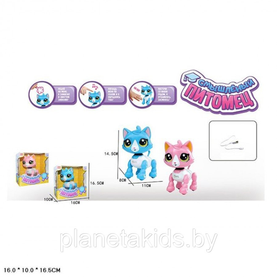 Интерактивная детская игрушка Котик "Смышленый питомец", E5599-9 - фото 1 - id-p105194915