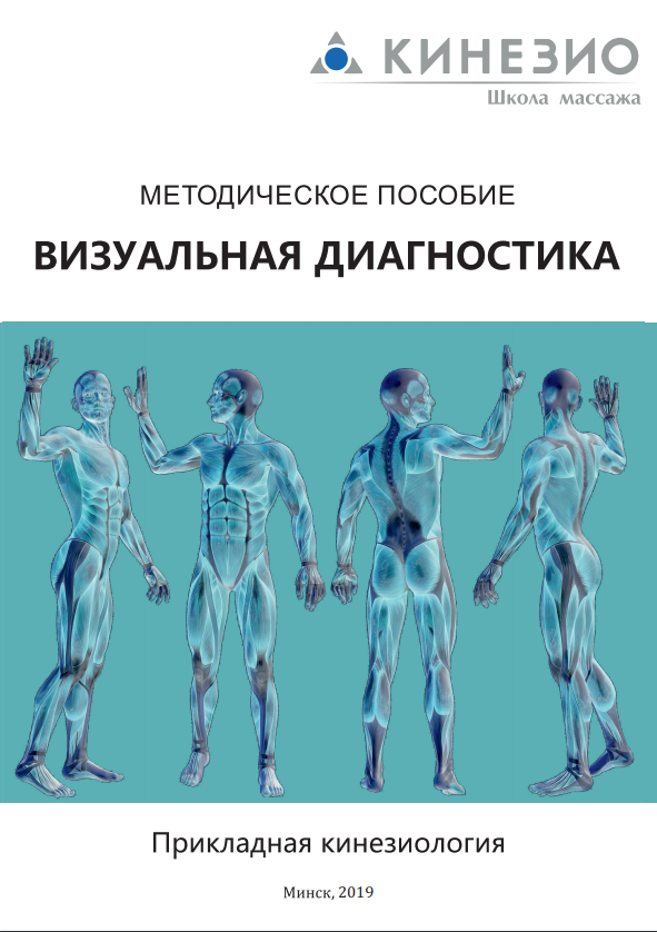 Купить Книгу Васильевой Прикладная Кинезиология