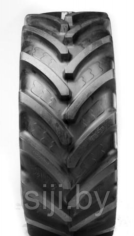 Шина пневматическая 600/70R30 161A8/158D BKT AGRIMAX FORTIS TL