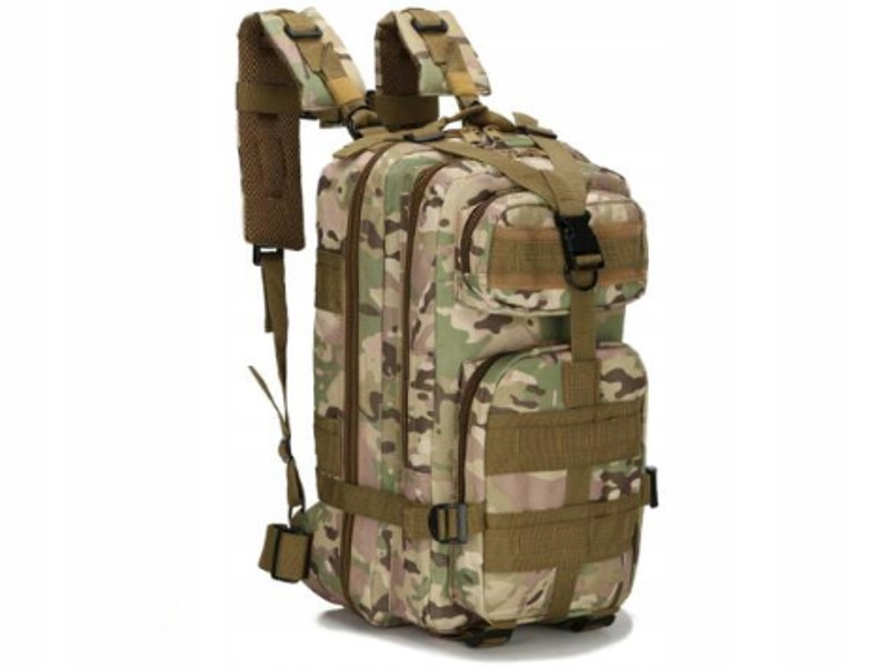 Рюкзак Assault 2 Multicam 20L - фото 1 - id-p105329196