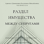 АДВОКАТ Демидовец Е.М. Юрпомощь по гражд, семейн., наследствен., жилищн.,трудов.,страх делам., фото 3