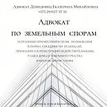 АДВОКАТ Демидовец Е.М. Юрпомощь по гражд, семейн., наследствен., жилищн.,трудов.,страх делам., фото 7