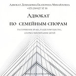 АДВОКАТ Демидовец Е.М. Юрпомощь по гражд, семейн., наследствен., жилищн.,трудов.,страх делам., фото 10