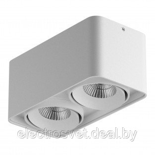 Светильник MONOCCO LED 2х10W 1200LM 30G БЕЛЫЙ 4000K/3000K (в комплекте) - фото 1 - id-p105437865