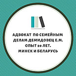 Юрконсультации, составление исков, жалоб, участие в суде адвоката ДЕМИДОВЕЦ  Е.М. Опыт более 24 лет., фото 3