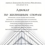 Юрконсультации, составление исков, жалоб, участие в суде адвоката ДЕМИДОВЕЦ  Е.М. Опыт более 24 лет., фото 4
