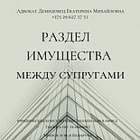 Юрконсультации, составление исков, жалоб, участие в суде адвоката ДЕМИДОВЕЦ  Е.М. Опыт более 24 лет., фото 9