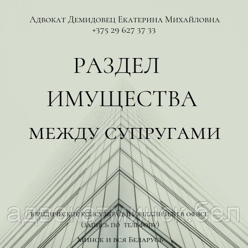 Юрконсультации, юрпомощь адвоката ДЕМИДОВЕЦ Е.М. Опыт более 23 лет. - фото 9 - id-p76444812