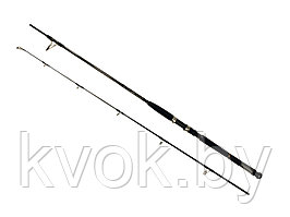 Спиннинг DAIWA BG Travel Pilk 2,4 м, тест: 40-125 гр