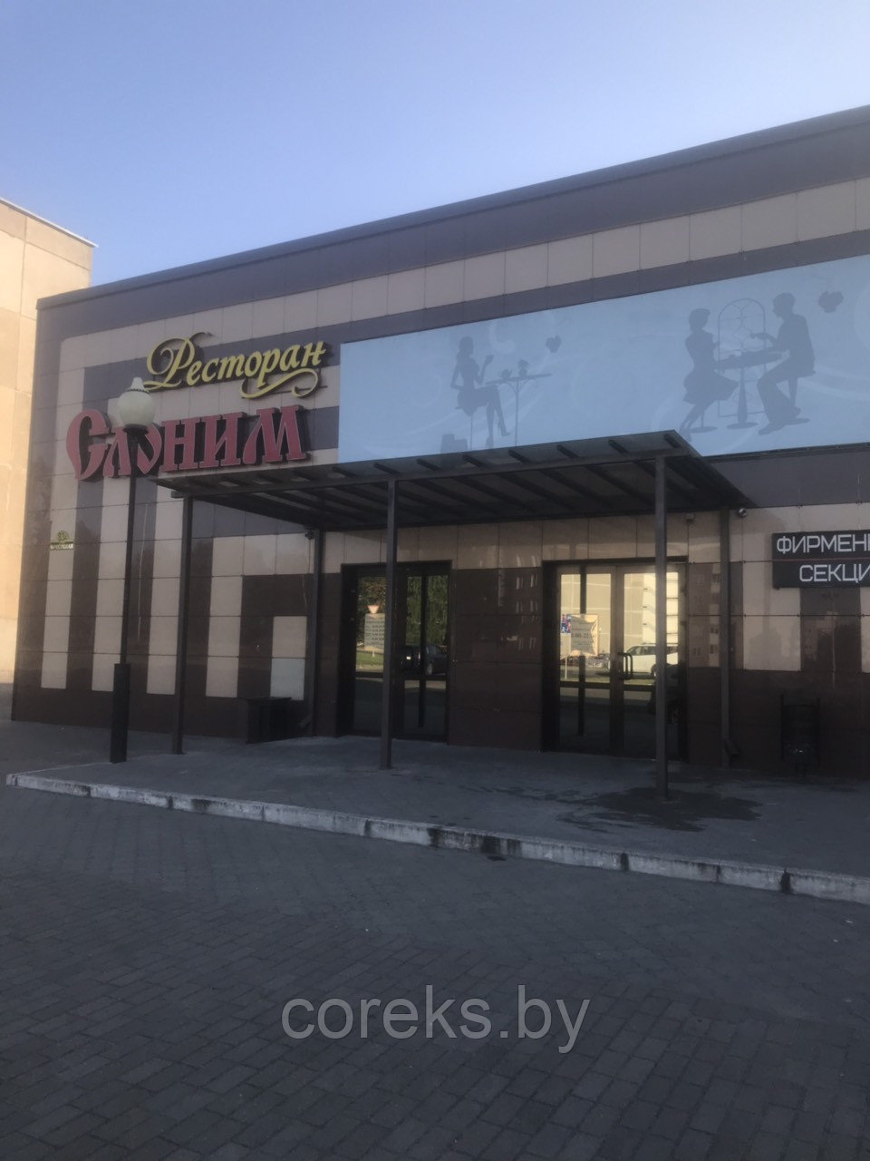 Навес с водосточной системой №13