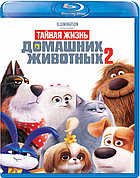 Тайная жизнь домашних животных 2 (BLU RAY Видео-фильм)