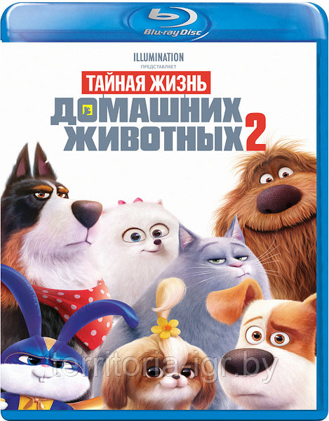порно с животными