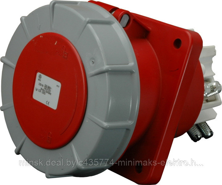 Розетка IEGN 12543