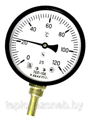 Термометр биметаллический радиальный ТБП100Р