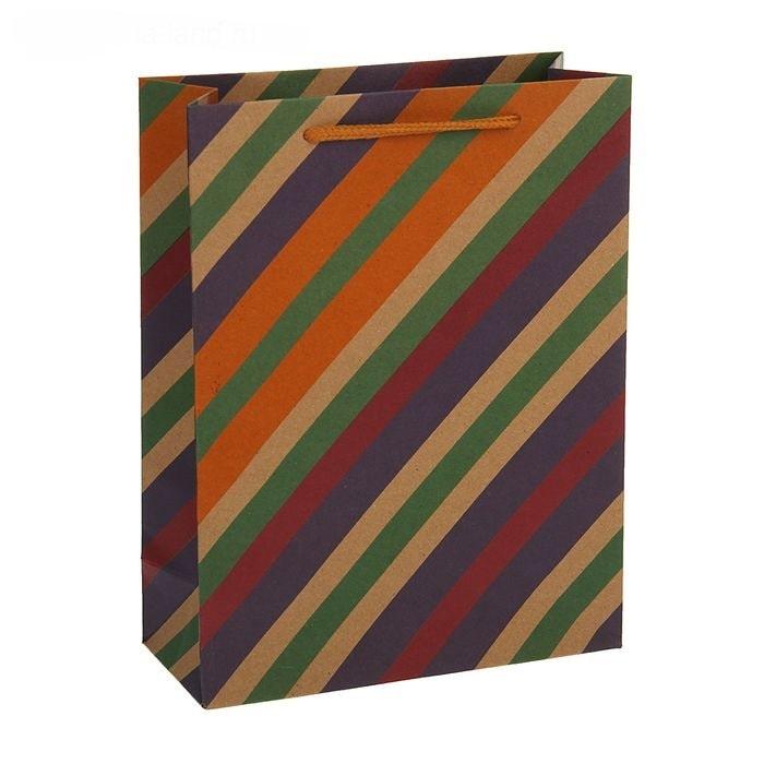 Подарочный пакет «Цветная полоска» 20 × 15 × 6 см