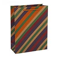 Подарочный пакет «Цветная полоска» 20 × 15 × 6 см