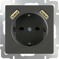Розетка с заземлением, шторками и USBх2 (серо-коричневый) WL07-SKGS-USBx2-IP20
