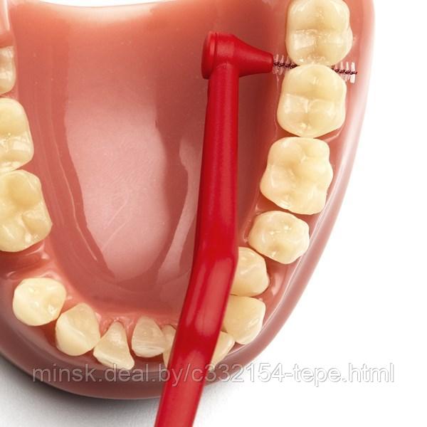Межзубный ершик ТеРе Angle №2 (диаметр спиральки 0,5 мм) на длинной ручке 1 шт. в мягкой упаковке - фото 3 - id-p105659471