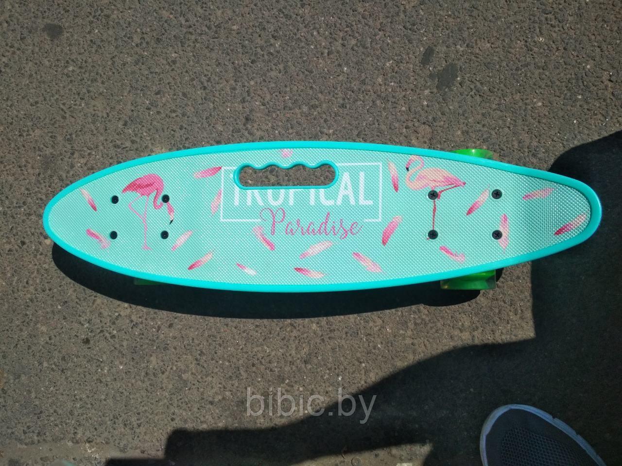 Скейт Пенни борд Penny board / скейт с принтом, светящимися колёсами и ручкой Фламинго - фото 1 - id-p105922758