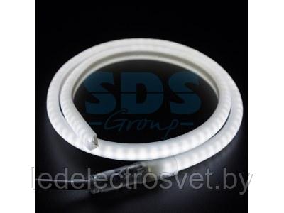 Гибкий Неон LED SMD, форма - D, белый, 120 LED/м,  бухта 100м