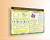 Стенд по физике "Электромагнитные колебания и волны" р-р 100*75 см в бордово - зеленом цвете,  цена за стенд