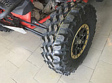 Шина для квадроцикла Maxxis Carnivore 30x10 R14 Radial, фото 2