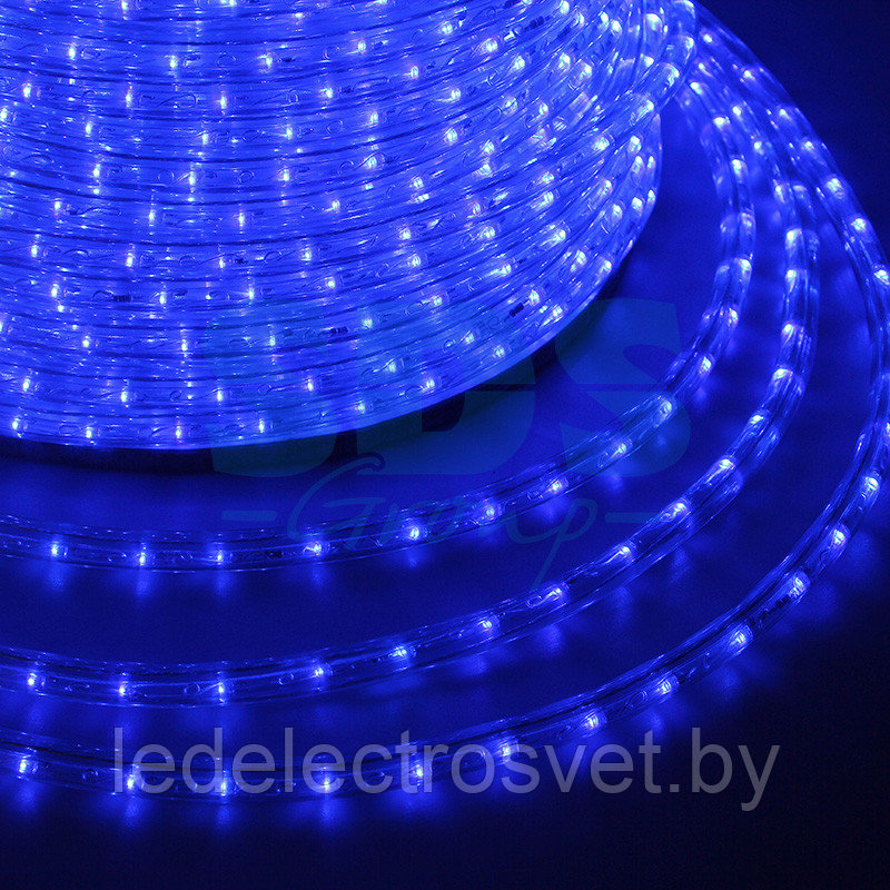 Дюралайт LED, свечение с динамикой (3W) - синий, 24 LED/м, бухта 100м