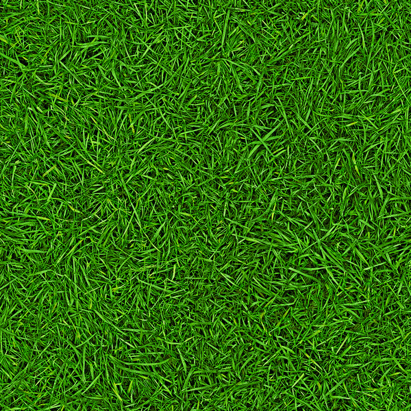 Линолеум IVC Neo Grass 25