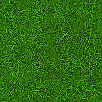 Линолеум IVC Neo Grass 25