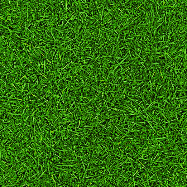 Линолеум IVC Neo Grass 25 - фото 1 - id-p106128334