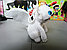 Мягкая игрушка Беззубик белый брелок из мультфильма "Как приручить дракона", фото 3