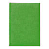 Ежедневник датированный A5, V51, DELHI, светло-зелёный