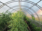 Теплица 4/6/8/10 м. двойная дуга. "ФЕРМА-2" 20*20*0,67, фото 6